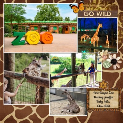 8/28 Option #1 Wild Adventure
