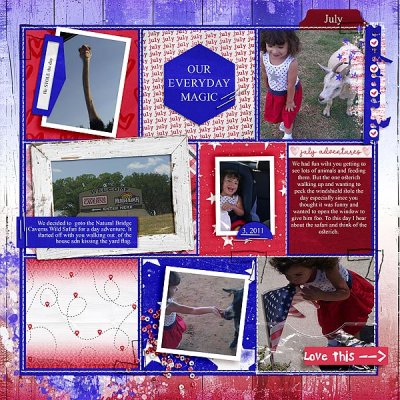 Day 7 Red White Blue