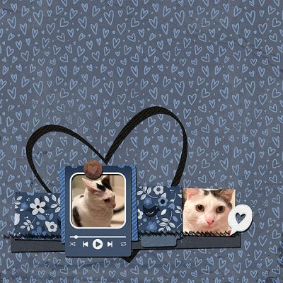 Day 20 - Tribute to Furry Friend