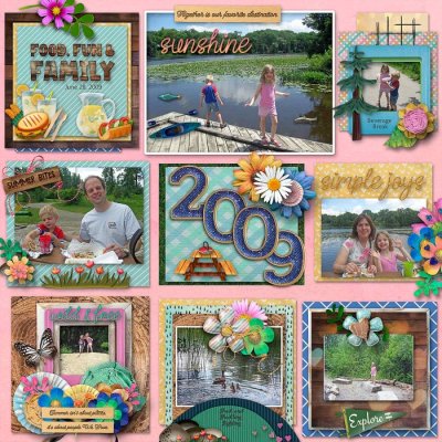 Food, Fun and Family in 2009