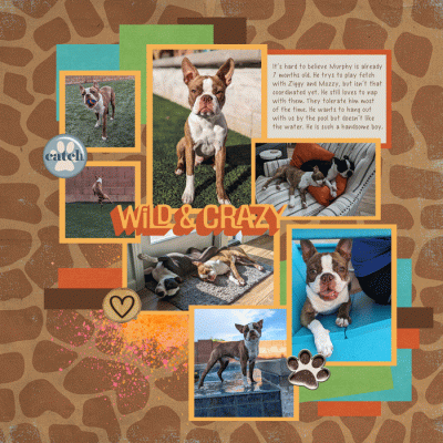 Murphy-7-Months-Page