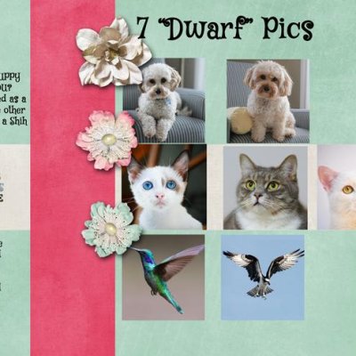 7 "Dwarf" Pics