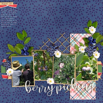 brittdes_blueberries_web