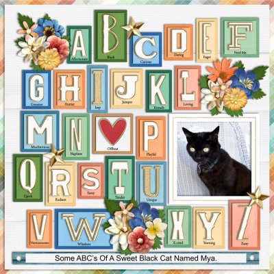 2025 Summer Shadowbox Aug 29 Opt1