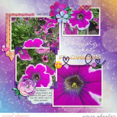 Hanging Basket Flowers