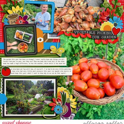 August Harvest left