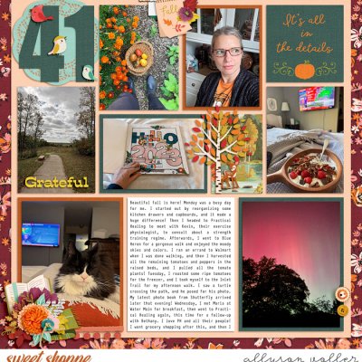 2024 PL 41 week 01