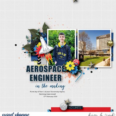 Aerospace Engineer