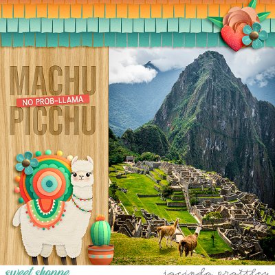 Machu Picchu