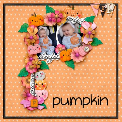 Cutest Little Pumpkin in the Patch
