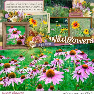 Wildflowers