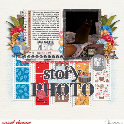 The Story Of The Photo