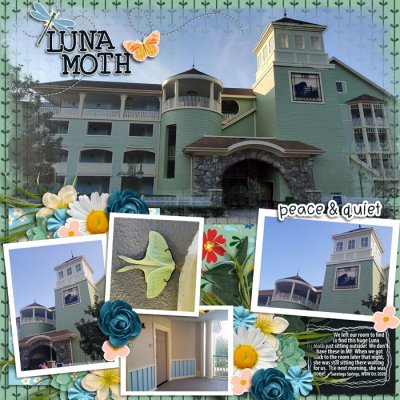 Luna Moth Saratoga Springs