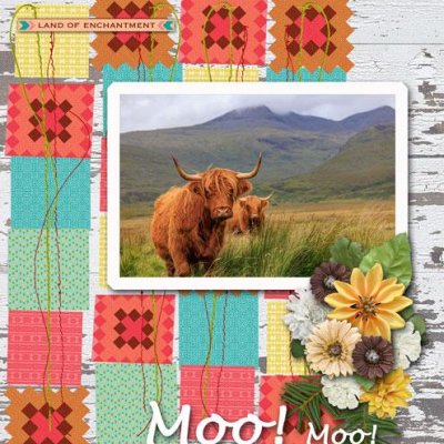 Moo! Moo!
