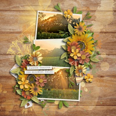 Blooming fields