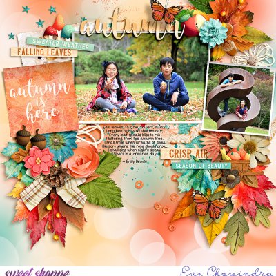 autumn is here