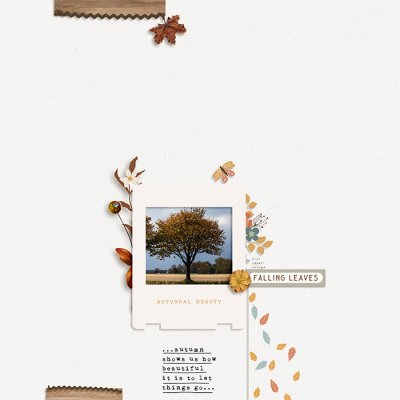 Falling Leaves