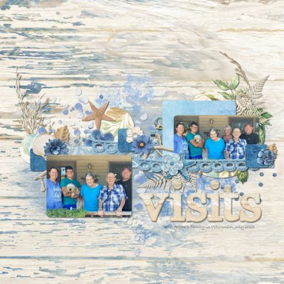 Visits