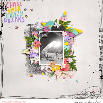 Chase Your Crazy Dreams