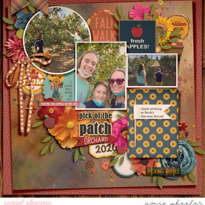 Pick of the Patch