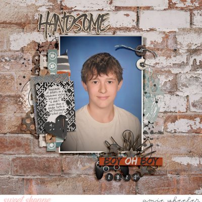 Handsome