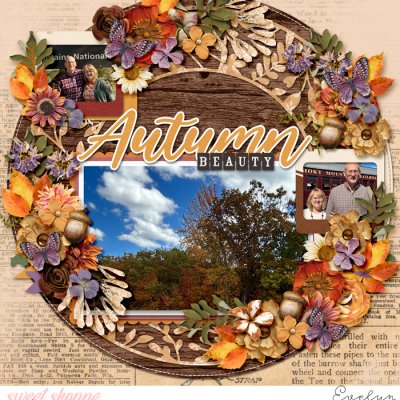 The Beauty of Autumn