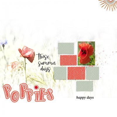 Poppies