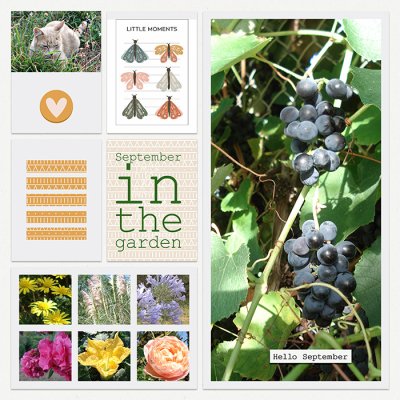 September in the garden