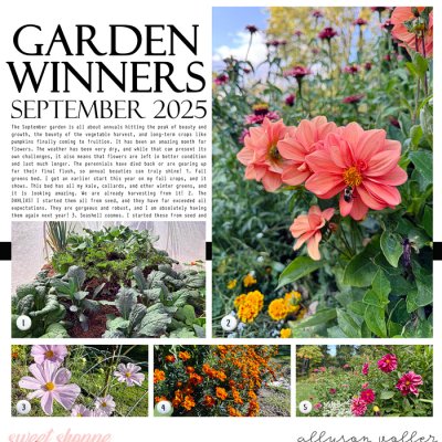 Garden Winners Sept 2025