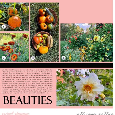 Garden Winners Sept 2025