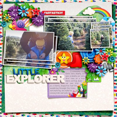 Little explorer