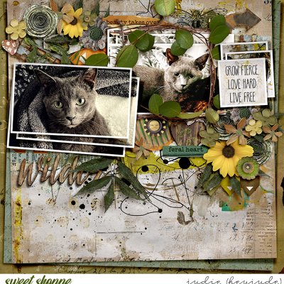 Feral Heart