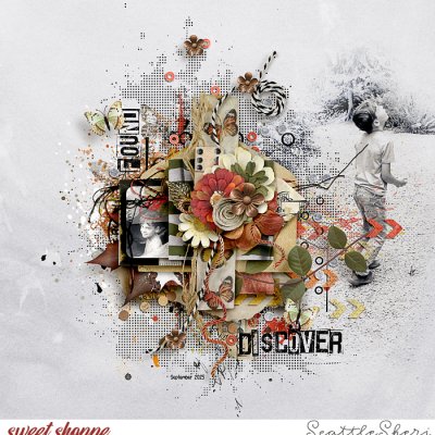 Discover