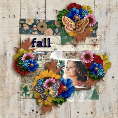 Stay Wonder Fall