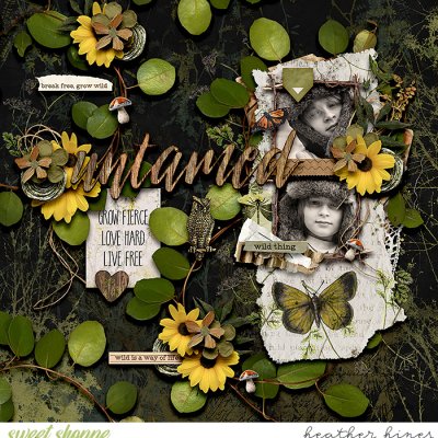 Untamed