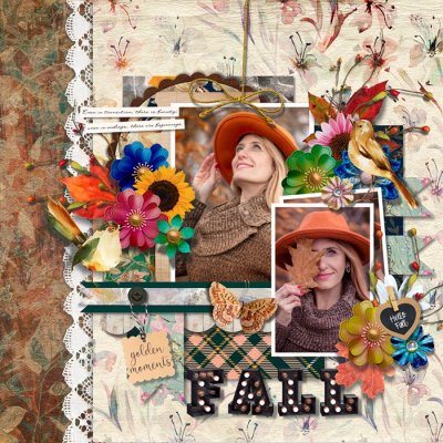 Stay wonder fall