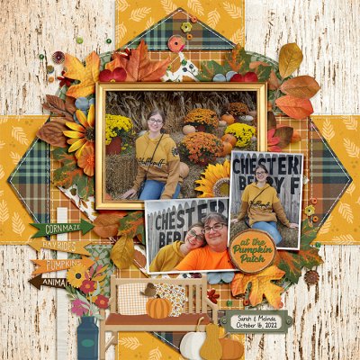 At The Pumpkin Patch