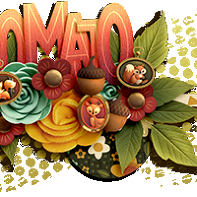 DSD Siggy Romajo
