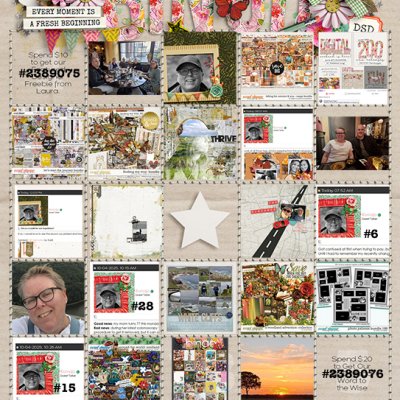 DSD Bingo Card Romajo
