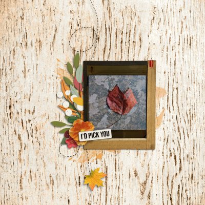 cmg-into-autumn-scrappypenguin