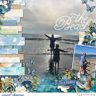 The Beach