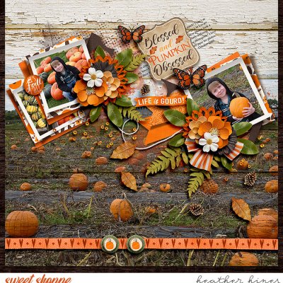 Pumpkin Obsessed