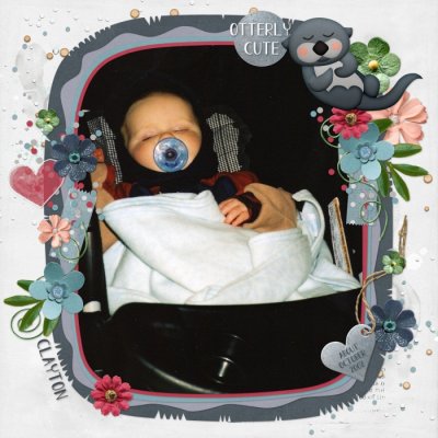 Stroller Nap
