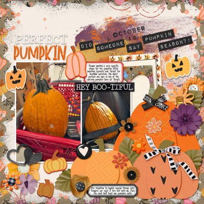October 2025 - picking a pumpkin