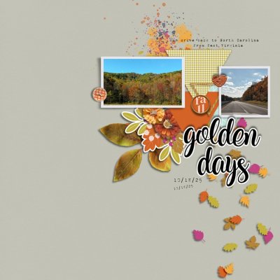GOLDEN DAYS