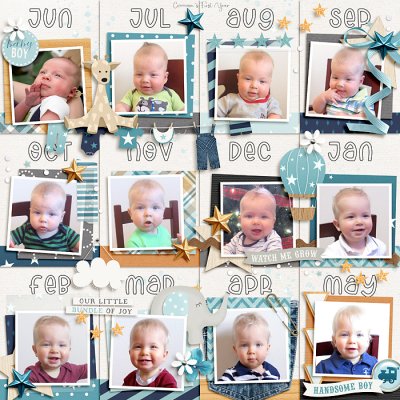 C's First Year