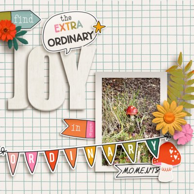 Extraordinary Joy