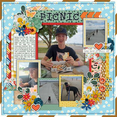Picnic