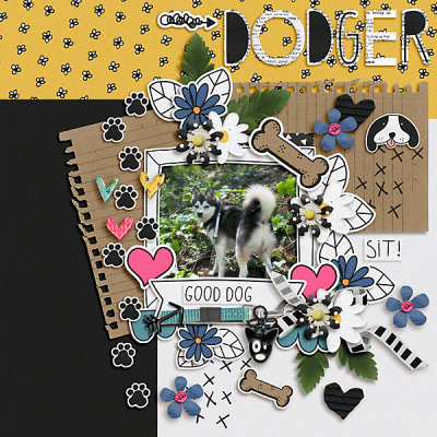 Dodger - good dog!
