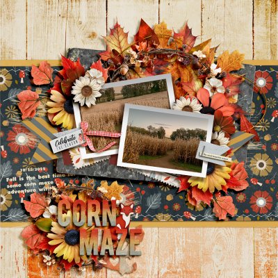 Corn maze